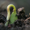 Emerging Energies of 2012