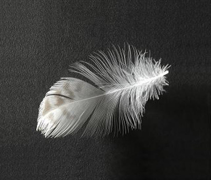 Living In Hope