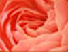 Choosing Love and Finding the Balance mp3
