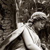 Honoring Your Ancestors